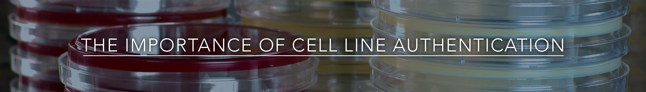 Cell Line Authentication - Reproducibility
