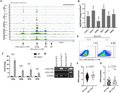 mayufuji☆ 5点 PE anti-human HLA-DR 307605 from BioLegend | Biocompare.com
