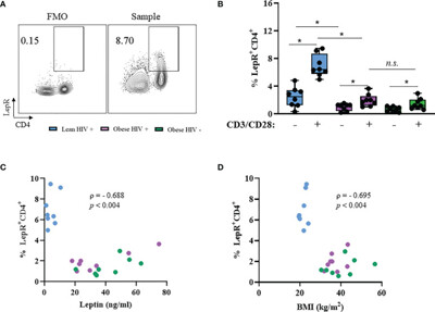 キネティックEX Ultra-LEAF™ Purified anti-human CD28 302934 from BioLegend
