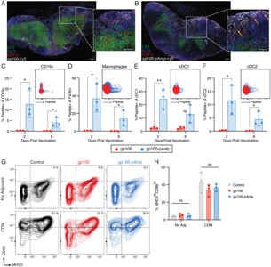Hisakiloveページ Brilliant Violet 510 anti-human CD11b Antibody anti-CD11b
