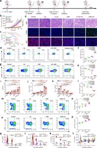 ✴arks✴ Brilliant Violet 421™ anti-mouse FOXP3 126419 from BioLegend