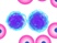 CD133+ Cells