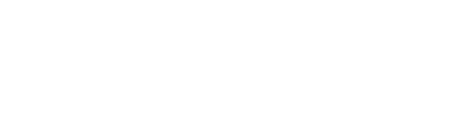 Denovix