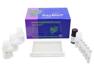 Immuno-PCR Ultrasensitive ELISA - IQELISA from RayBiotech