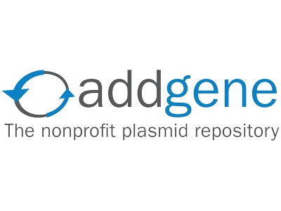 AAV Service from Addgene Inc.