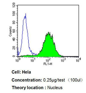 Anti-PPAR alpha antibody [3B6/PPAR] GTX22779 from GeneTex