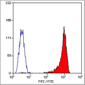 CD45 (CD45 Antigen, B220, GP180, Leukocyte Common Antigen, LCA, L-CA, LY5, LY-5, Protein Tyrosine Phosphatase Receptor Type C, Protein Tyrosine Phosphatase Receptor Type C Polypeptide, PTPRC, T200, T200 Glycoprotein) (Biotin) Antibody