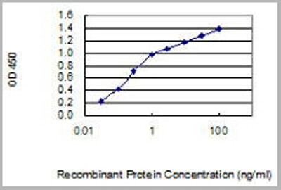 STIP1 (Stress-Induced-Phosphoprotein 1, HOP, IEF-SSP-3521, P60, STI1, STI1L) (AP) Antibody