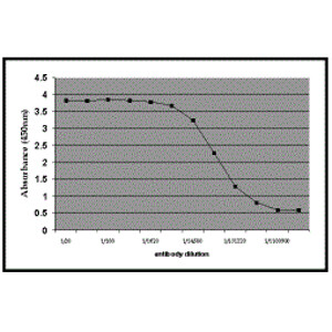 GOAT ANTI HUMAN C-REACTIVE PROTEIN Antibody