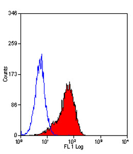 RAT ANTI MOUSE F4/80 Antibody