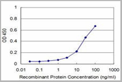 NFKB1 (Nuclear Factor of kappa Light Polypeptide Gene Enhancer in B-Cells 1, DKFZp686C01211, EBP-1, KBF1, MGC54151, NF-kappa-B, NFKB-p105, NFKB-p50, p105, p50) (AP) Antibody
