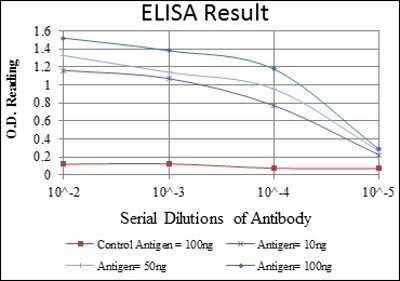 AURKA Antibody