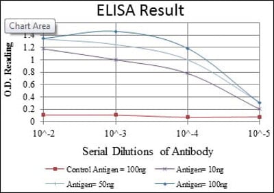 CD1A Antibody