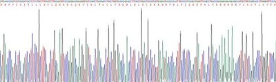 Recombinant Thy1 Cell Surface Antigen (Thy1)
