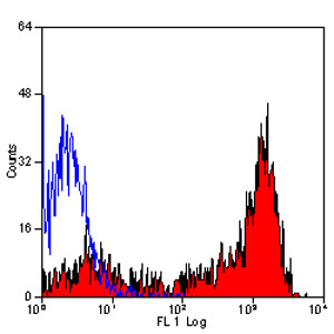 RAT ANTI HUMAN CD52:FITC Antibody