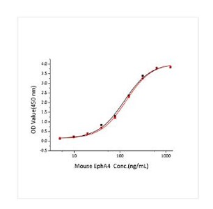 Active Recombinant Mouse Ephrin-A2/EFNA2 Protein
