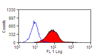 RAT ANTI MOUSE TREM-2:FITC Antibody