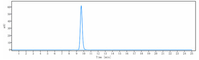 Anti-EMMPRIN/CD147 Reference Antibody (Centocor patent anti-CD147)