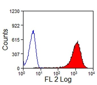 MOUSE ANTI HORSE CD13 Antibody