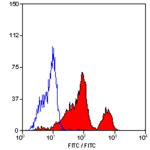 MOUSE ANTI HUMAN CD226:FITC Antibody