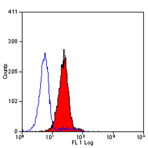 RAT ANTI HUMAN CD59:RPE Antibody