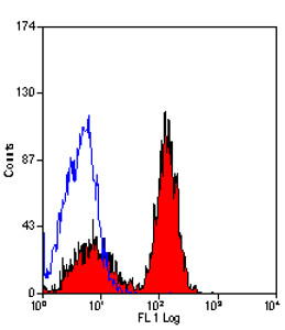 RAT ANTI MOUSE CD321:Biotin Antibody
