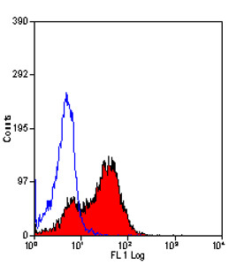 RAT ANTI MOUSE CD26:Biotin Antibody