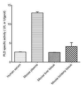Phospholipase D (PLD) Activity Colorimetric Assay Kit