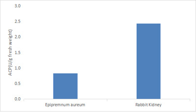 Micro Acid Phosphatase (ACP) Activity Assay Kit
