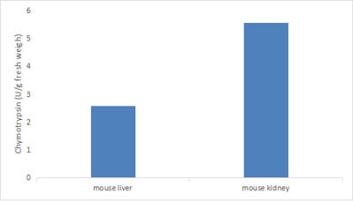 Micro Chymotrypsin Activity Assay Kit