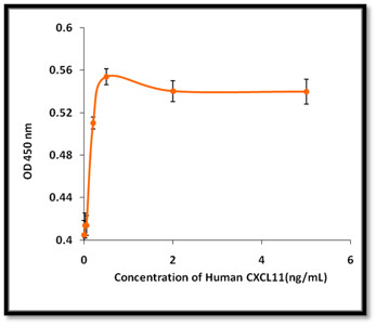 Recombinant Human CXCL11