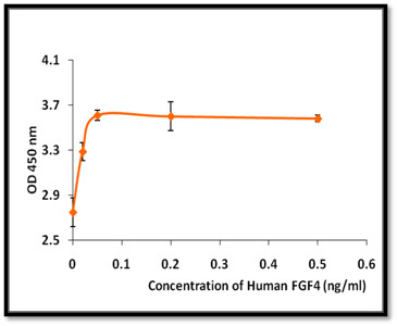 Recombinant Human FGF4