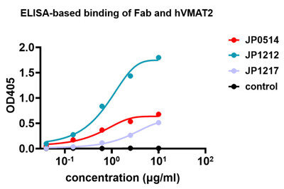 Anti-Human VMAT2 Recombinant Antibody (JP1212)