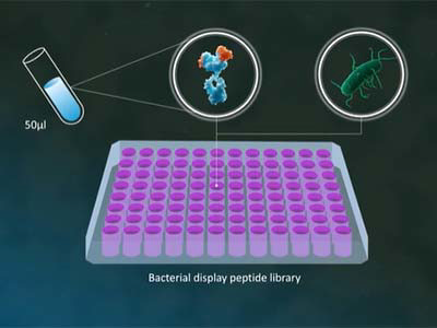 Biomarker Discovery from Serimmune