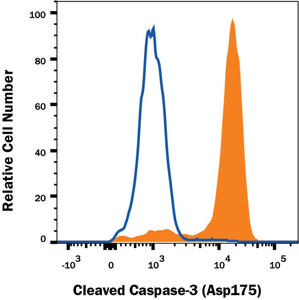 Human/Mouse Cleaved Caspase-3 (Asp175) Antibody MAB835 from