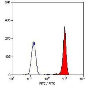 Complement Component C5aR1 Antibody (P12/1) - BSA Free