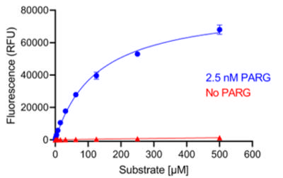 Fluorogenic PARG Substrate