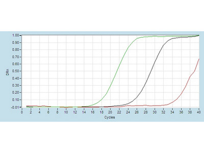 hsa-let-7a RT-PCR Primer Set MBS825918 from MyBioSource.com ...