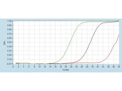 hsa-let-7a RT-PCR Primer Set MBS825918 from MyBioSource.com ...