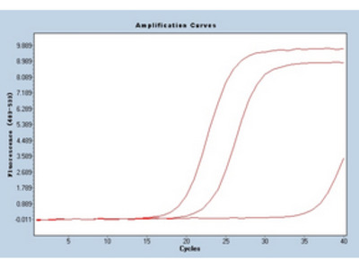 hsa-let-7i Real-Time RT-PCR Detection and cel-mir-39-3p Calibration Kit ...