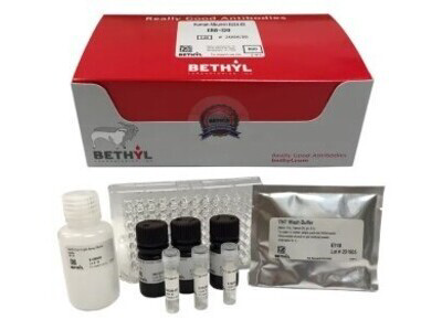 Élisaページ F-Bottom 12-Strip ELISA Plates - Manufacturer and Supplier