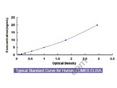 Human Eomesodermin (EOMES) ELISA Kit