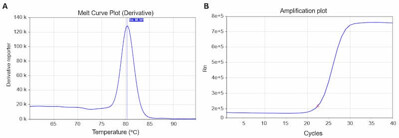 Human Cell Death Regulation qPCR Array