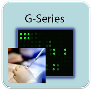 G-Series Array Testing Service from RayBiotech