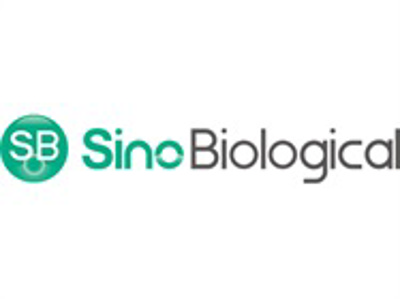 Mammalian Transient Protein Expression Service from Sino Biological, Inc.