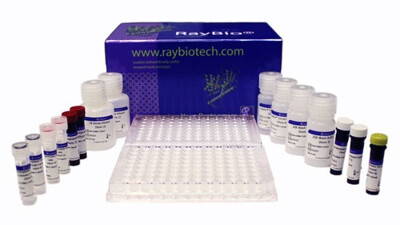 RayPlex® Custom Mouse Bead Array