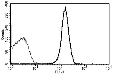 Mouse Anti-CD31 Antibody