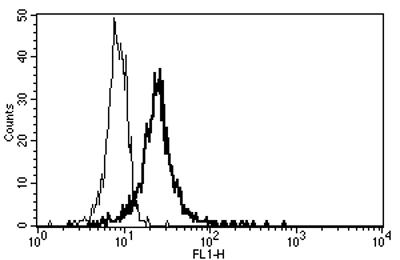 Mouse Anti-CD141 Antibody