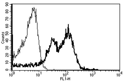 Mouse Anti-CD29 Antibody