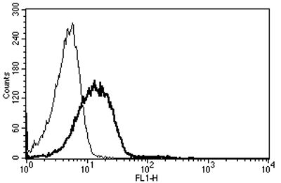 Mouse Anti-CD102 Antibody